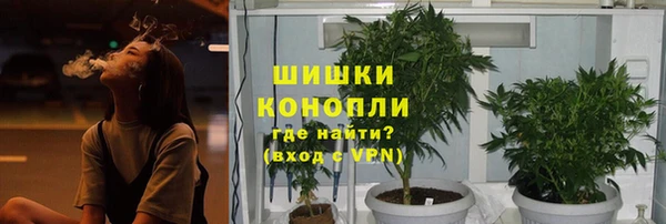 мдпв Карпинск