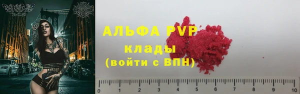 ECSTASY Кодинск