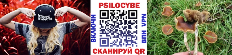 мега вход  Козловка  Псилоцибиновые грибы MAGIC MUSHROOMS 
